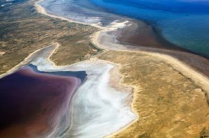 Lake Eyre North in Flood 
